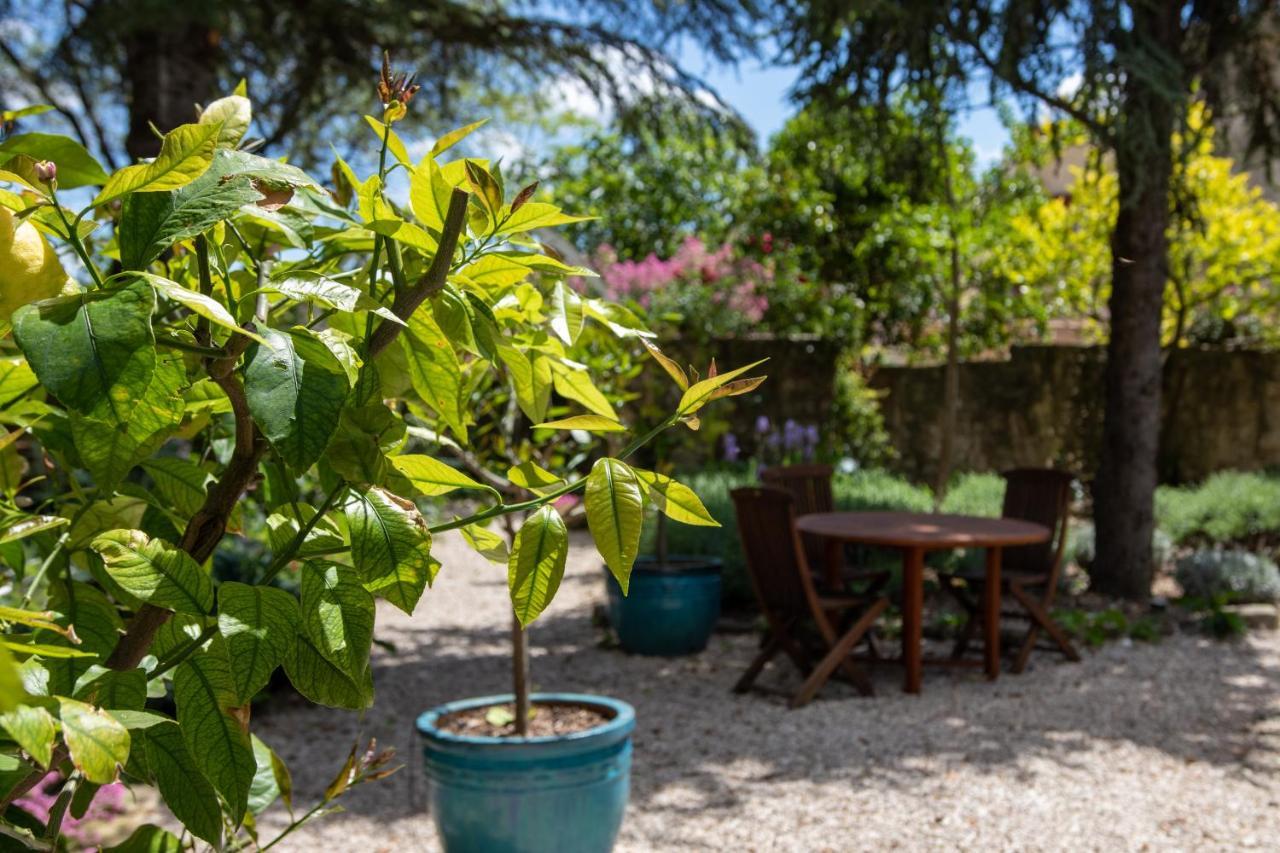 Bed and Breakfast Le Jardin de Mazan Exterior foto